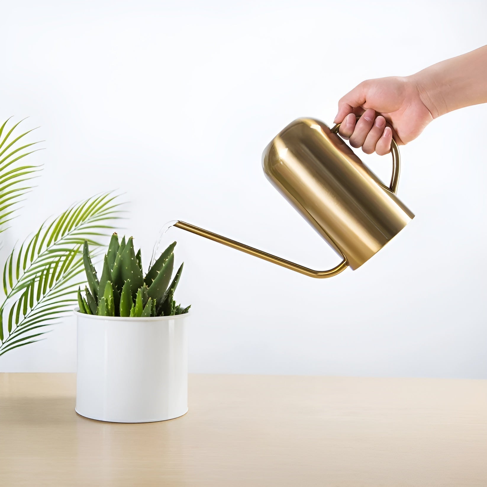 Gießkanne – Metall mit langem Auslauf, 1,5 Liter 3