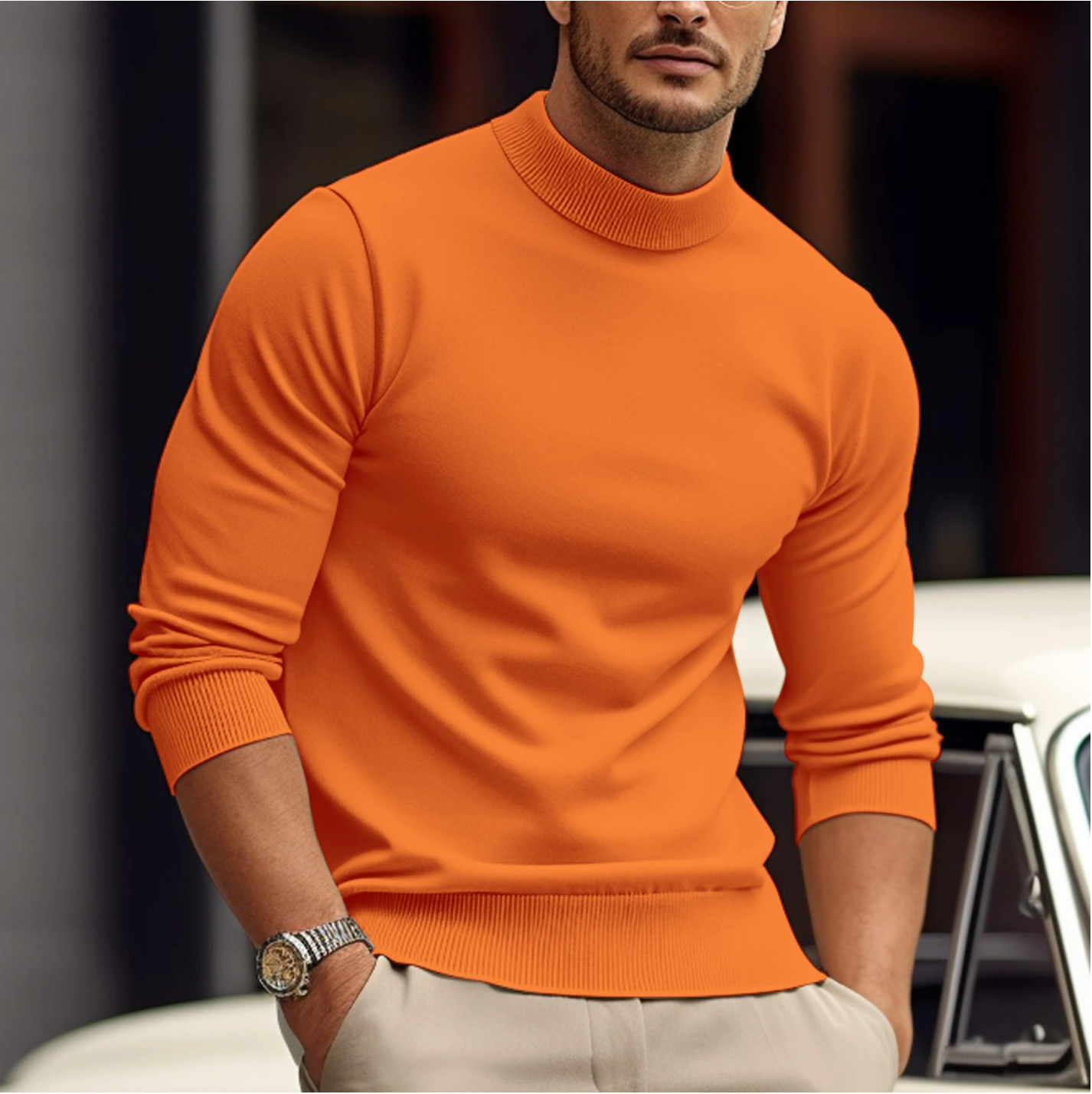 Herrenpullover | Einfarbig