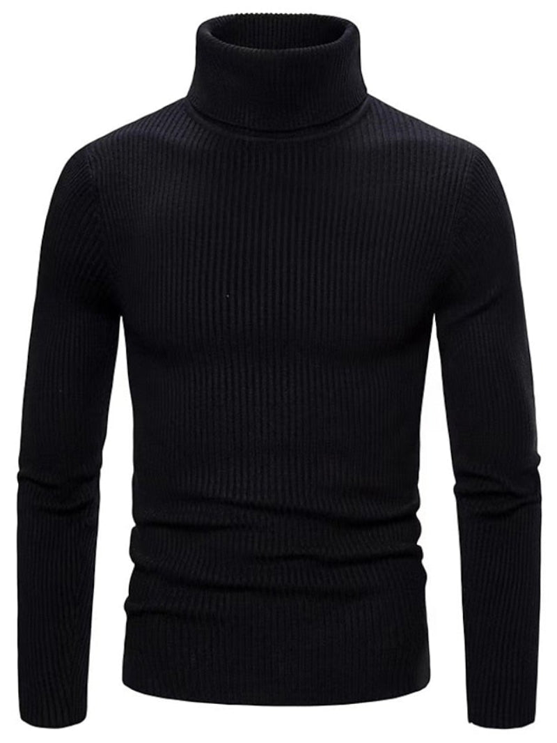 Herren Rollkragenpullover | Einfarbig