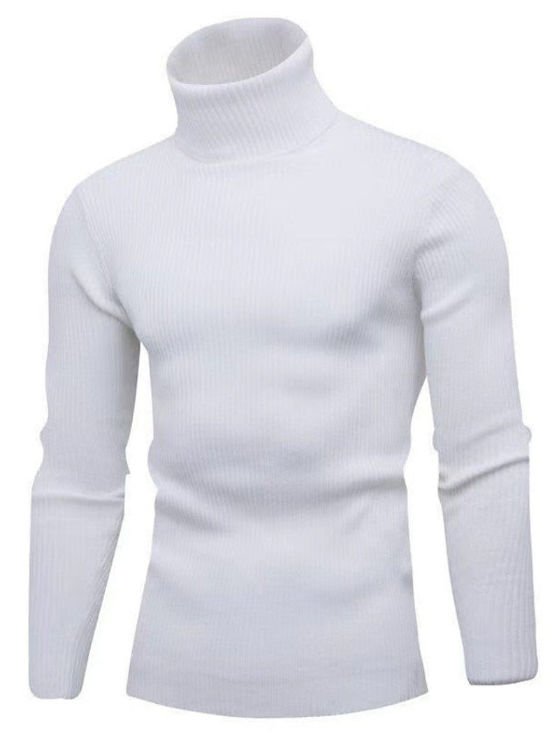 Herren Rollkragenpullover | Einfarbig