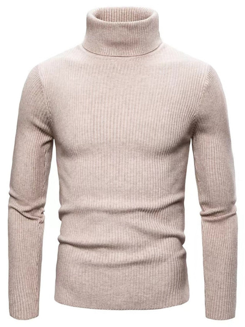 Herren Rollkragenpullover | Einfarbig
