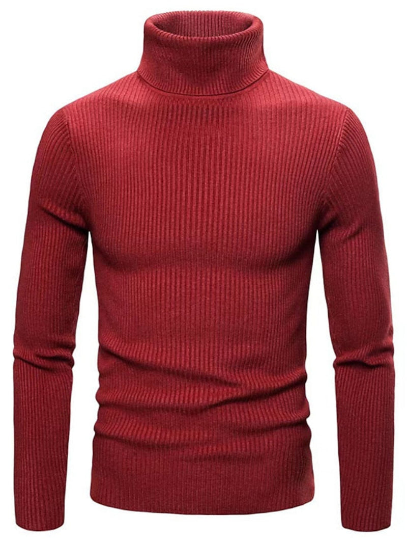 Herren Rollkragenpullover | Einfarbig