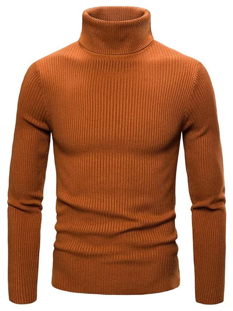 Herren Rollkragenpullover | Einfarbig