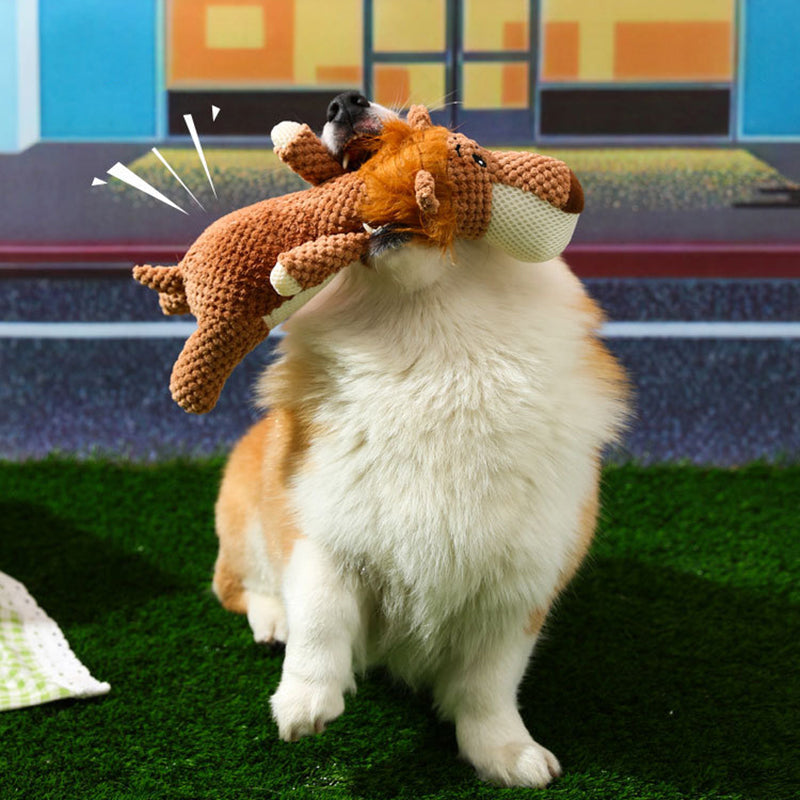 Plüsch-Hundespielzeug – Kauspielzeug für aktives Spielen 3